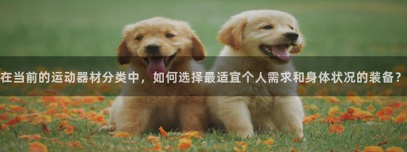 tp官方正版app开户:在当前的运动器材分类中,如何选择最适