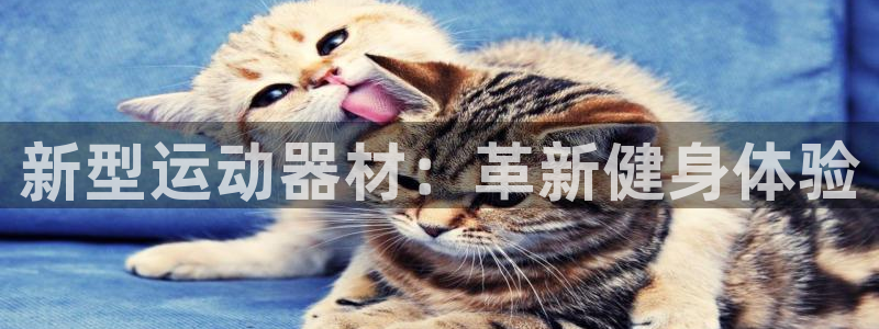 tp官方正版app娱乐是那个系列的台子:新型运动器材:革新健